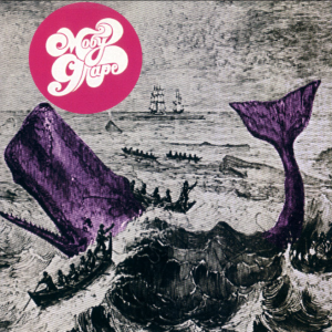 Moby Grape: Long Gone - Monterey Pop Fest June 16, 1967 + Foundation Jam SF 1968 + Amsterdam February 12, 1969 Live Concert (1CD)