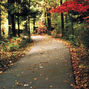 Simon & Garfunkel: Live At Carbondale 1969 - Carbondale, Illinois November 9, 1969 Live Concert (1CD)