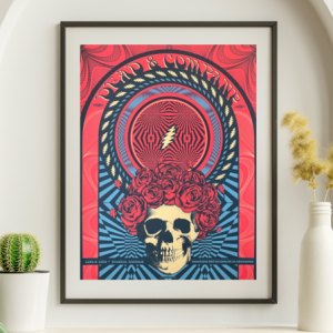 Dead and Company - Cellaires Amphitheater Lakewood Atlanta GA, June 8, 2018 - Live Concert Poster Wall Art Poster - 131007