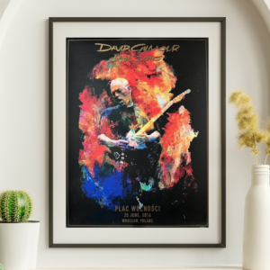 David Gilmour - Plac Wolnoski Wroclaw Poland, June 25, 2016 - Live Concert Poster Wall Art Print - 130001