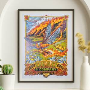 Dead and Company - Folsom Field Boulder CO June 10 2017 - Live Concert Poster Wall Art Print - 131156