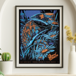 Phish - Verizon Theater Grand Prairie TX - Live Concert Poster Wall Art Print - 172091
