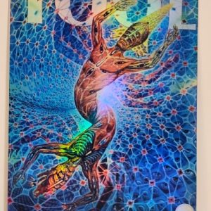 Tool - Accor Arena Paris France May 12 2022 - Live Concert Poster Vinyl Foil STICKER - 198011s