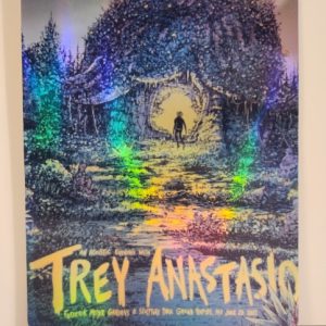 Trey Anastasio - Frederik Meljer Gardens Grand Rapids MI June 20 2022 - Live Concert Poster Vinyl Foil STICKER - 200046s