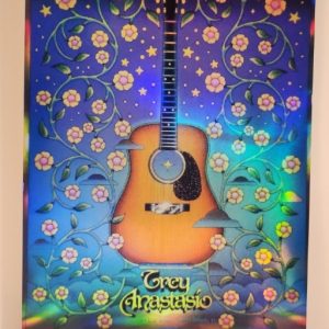 Trey Anastasio - Disney Theater Orlando FL March 26 2025 - Live Concert Poster Vinyl Foil STICKER - 200005s