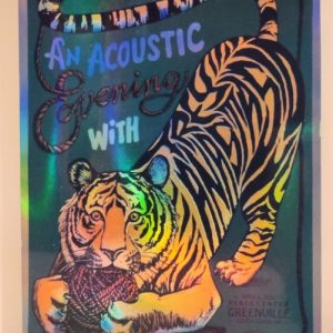Trey Anastasio - Peace Center Greenville SC April 2 2025 - Live Concert Poster Vinyl Foil STICKER - 200039s