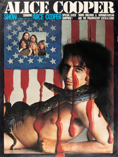 Alice Cooper - German Tour Blank 1973 – Live Concert Poster Wall Art Print - 254008 - Image 2