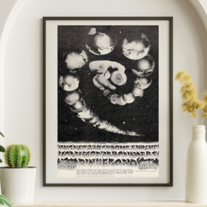 Pink Floyd - Avalon Ballroom SF CA August 23 1968 FD-131 - Live Concert Poster Wall Art Print - 249027